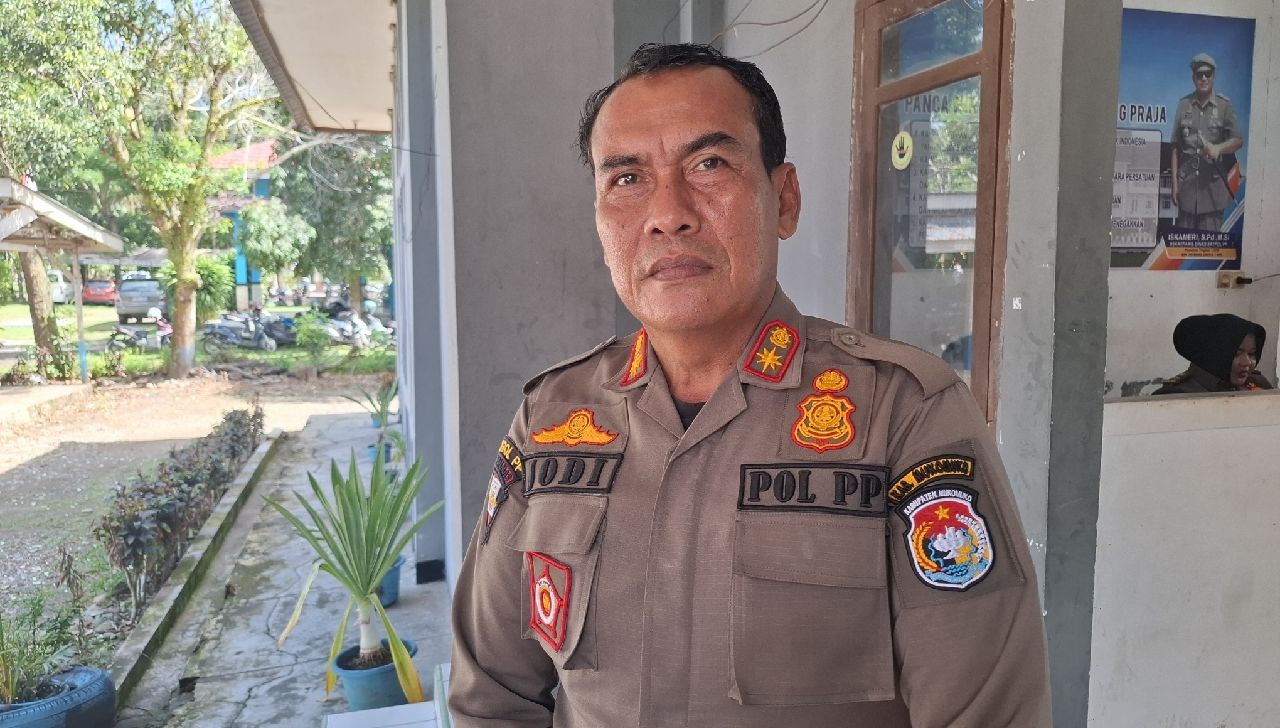Kasus Ternak Lepas Liar di Mukomuko Menurun