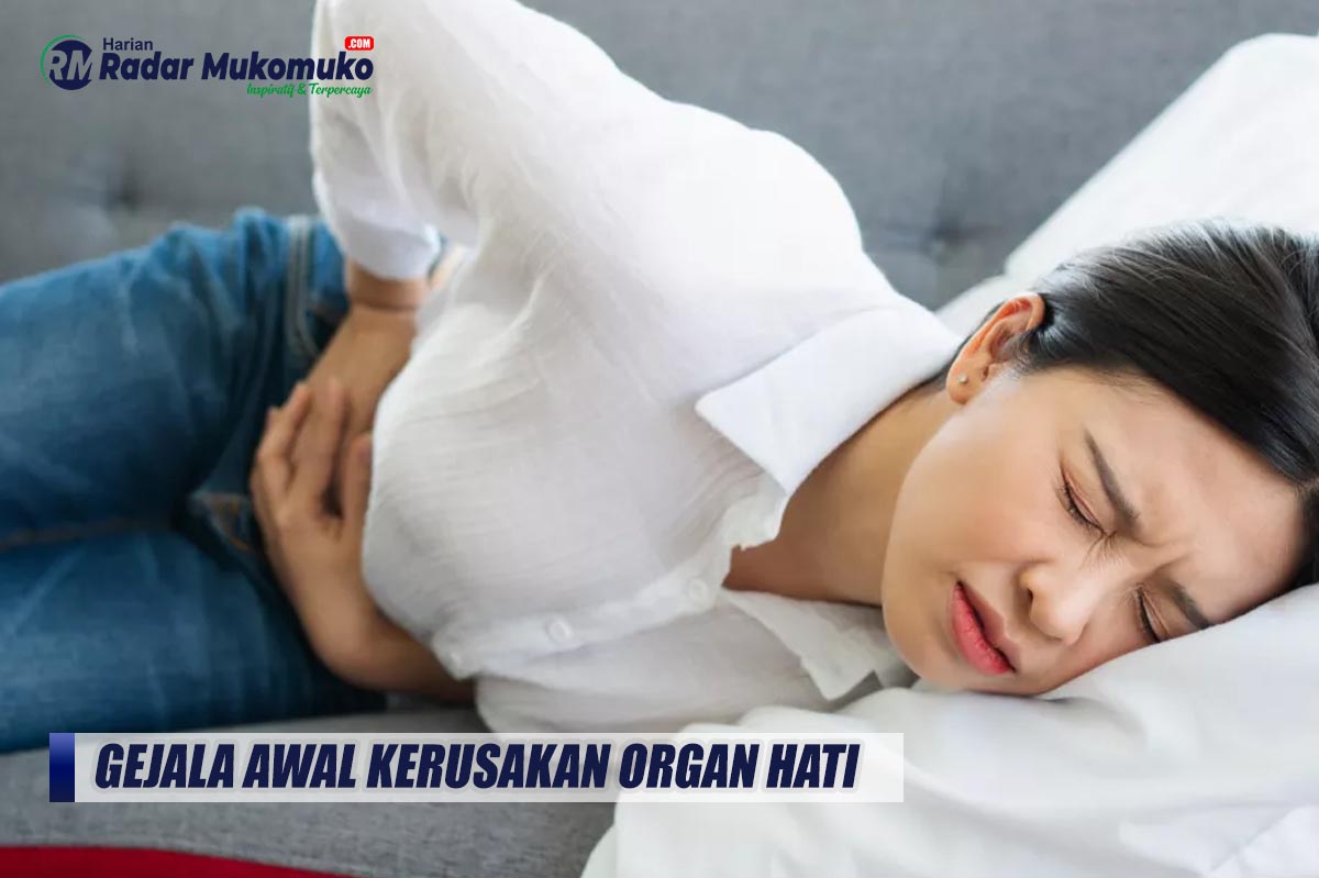 Harus Peduli, Inilah Gejala-Gejala Awal Kerusakan Organ Hati yang Sering Tidak Disadari