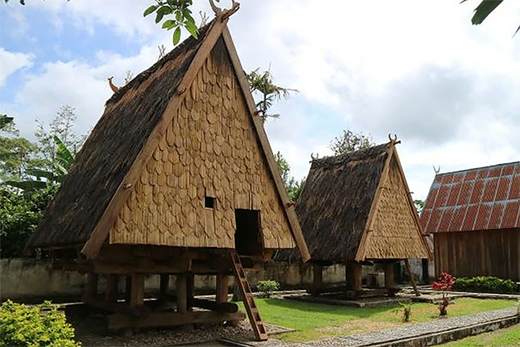 Keunikan Rumah Adat Sulawesi Tengah, Provinsi yang Berada di Tengah-tengah Garis Wallace