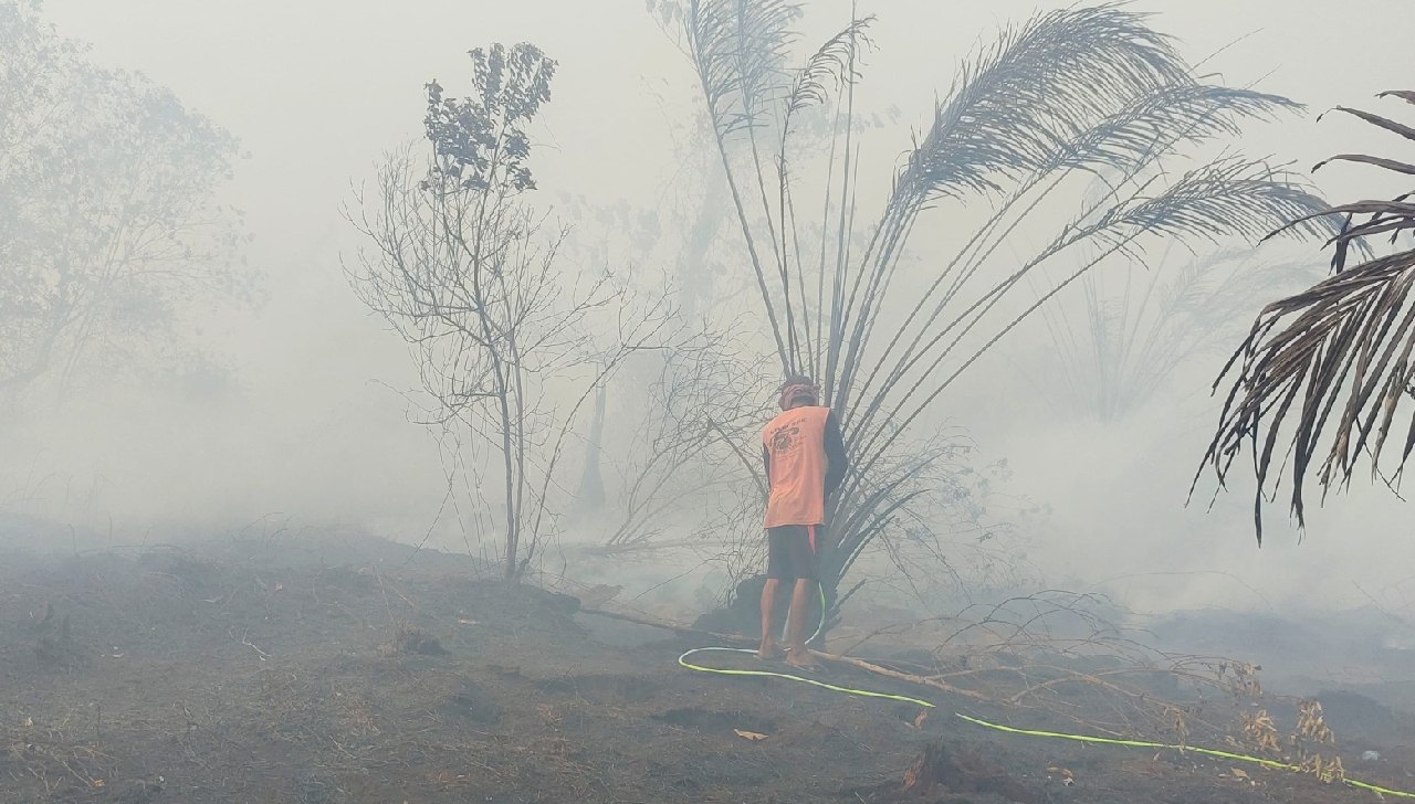 Api Belum Padam, Karhutla di Mukomuko Makin Meluas