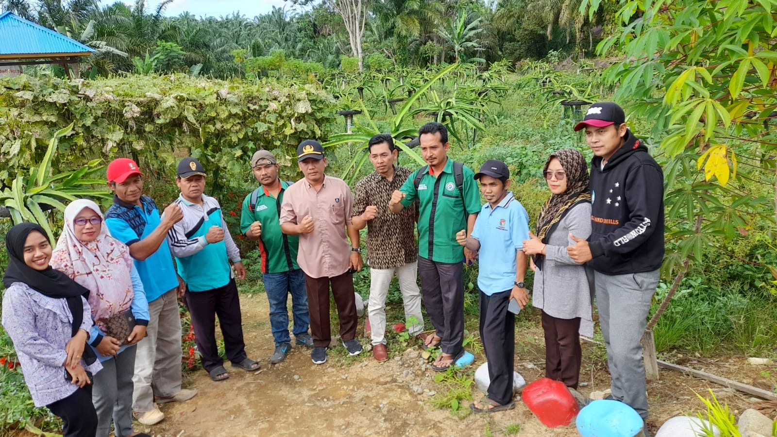 Desa Sumber Mulya Panen Perdana Buah Naga