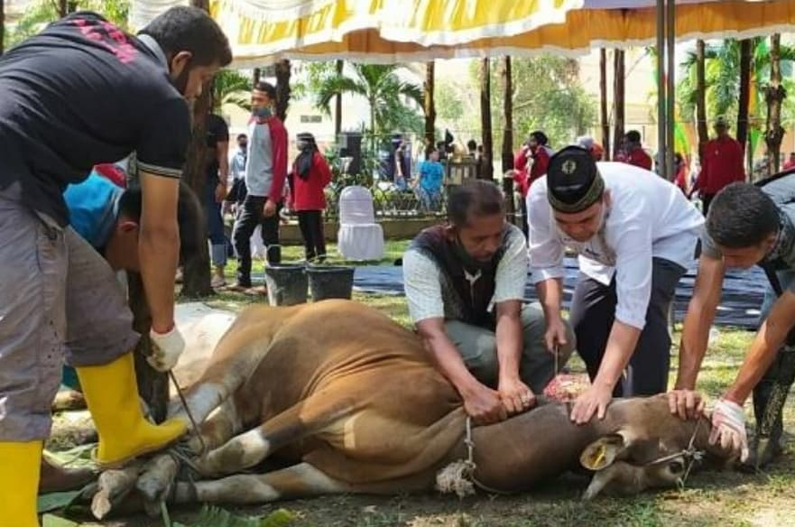 Bolehkah Kurban Idul Adha Atas Nama Orang Lain yang Sudah Meninggal? Ini Kata Ulama