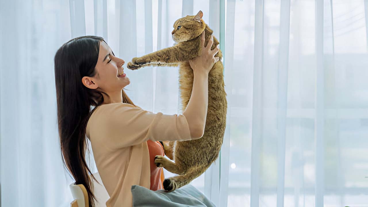 5 Kemampuan Kucing yang Jauh Lebih Baik dari Manusia