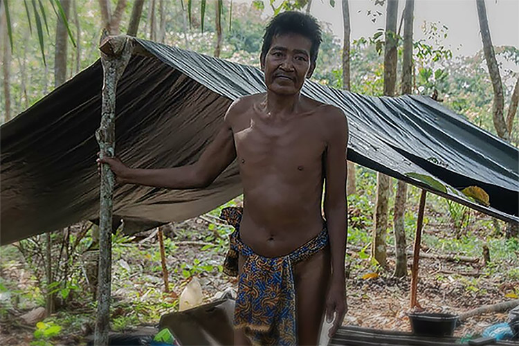 Suku Kubu Dibatasi Berinteraksi ke Luar, Beranggapan 'Masyarakat Terang' Makan Manusia