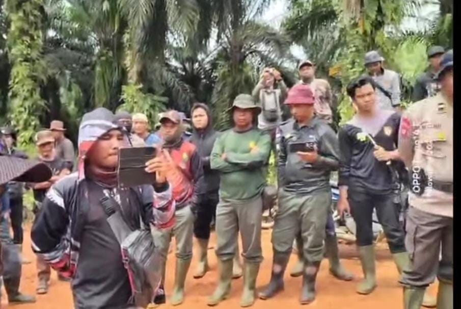 Kebun Sawit di HPT Ipuh Hingga Air Manjuto Bakal Dilibas Habis