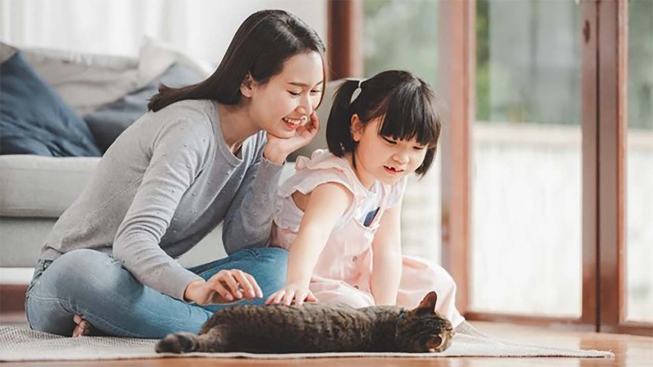 Orang Tua Harus Tahu! Ternyata Kebiasaan Ini Penyebab Kecerdasan Emosional Anak Menurun