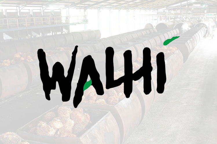 Walhi Beberkan Alasan Perusahaan Internasional Memutuskan Berhenti Beli Sawit Indonesia