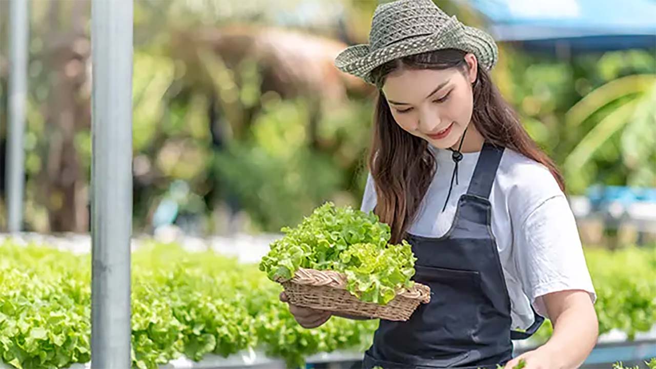 Mengenal Gaya Hidup HOMESTEAD yang Sedang Tren Di Kalangan Masyarakat