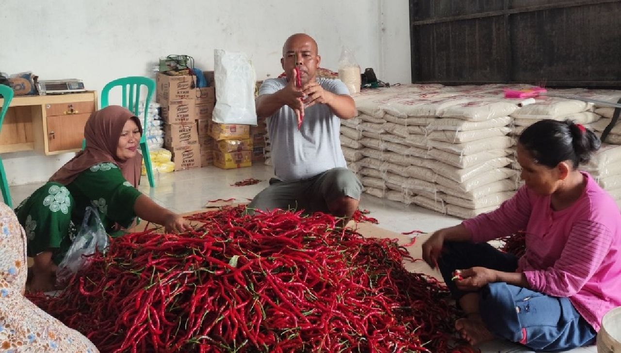 Perkuat Ketahanan Pangan Nasional, BRI Salurkan Pembiayaan ke Koperasi Penyuplai Bahan Pangan MBG