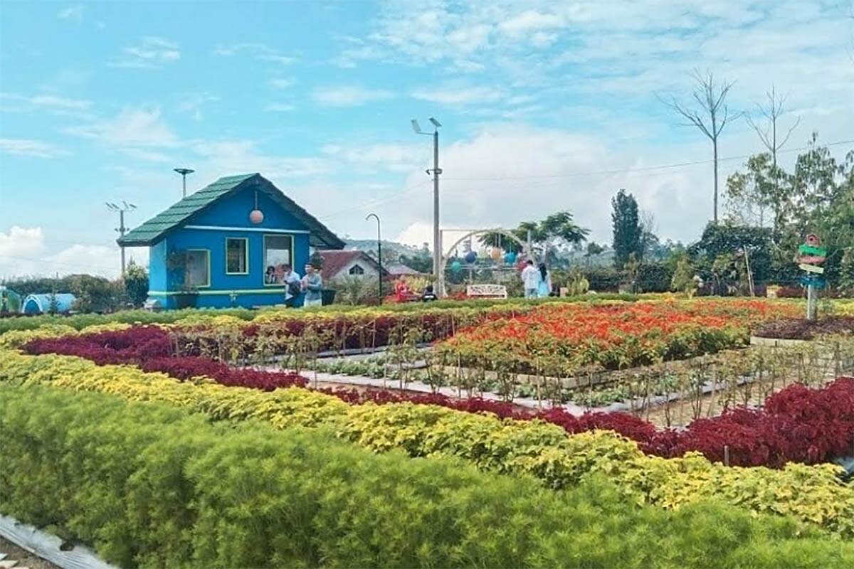 Libur Telah Tiba! Saatnya Mengeksplorasi Tempat Wisata yang Belum Pernah Kamu Jelajahi di Majalengka