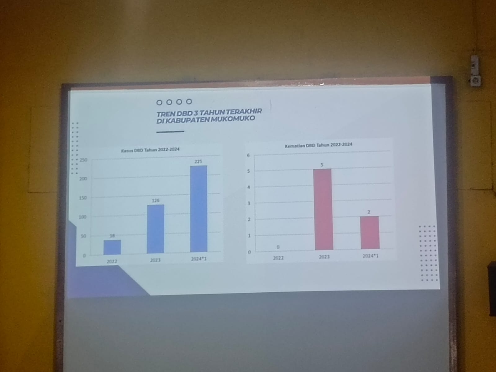 Pemkab Tetapkan Status Kejadian Luar Biasa Demam Berdarah, Ini Langkah Kedepan