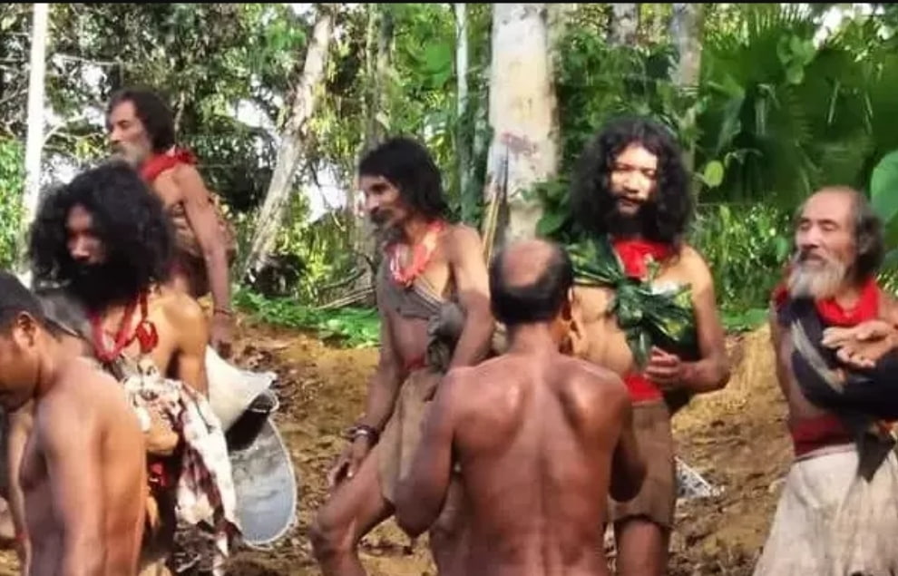Suku Togutil Penjaga Hutan Halmahera, Masuk ke Wilayahnya Bisa Hilang