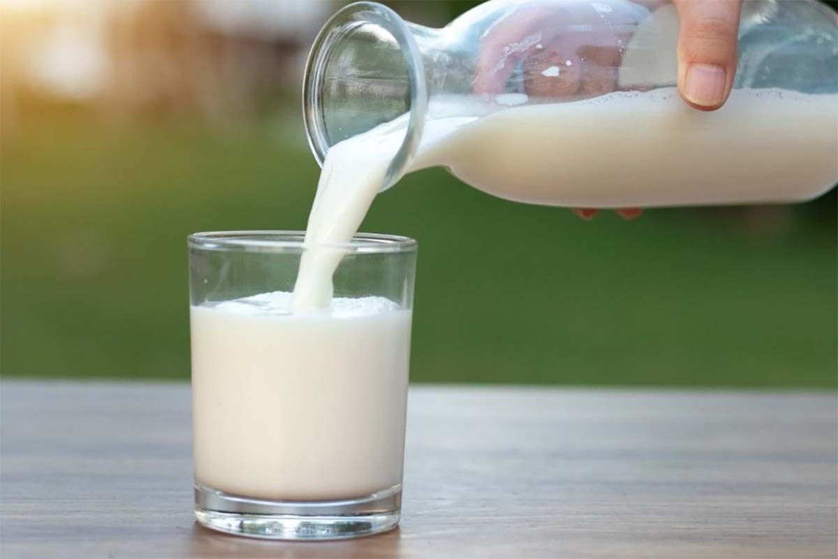 Berikut Kandungan Nutrisi Pada Susu dan Fungsi Imunitas Dalam Tubuh