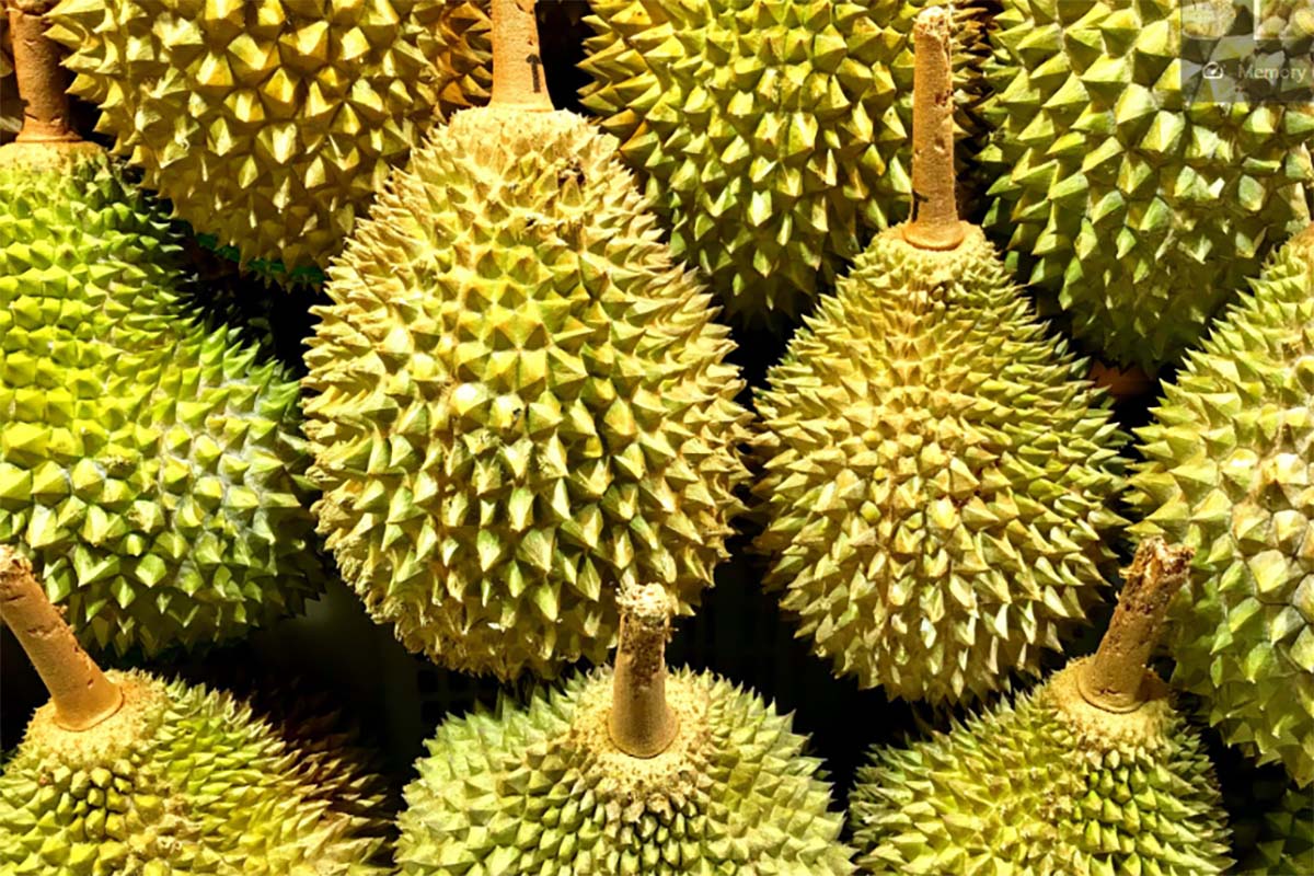 7 Tips dan Trik Cara Memilih Durian yang Bagus Dijamin Pasti Manis Anti Gagal