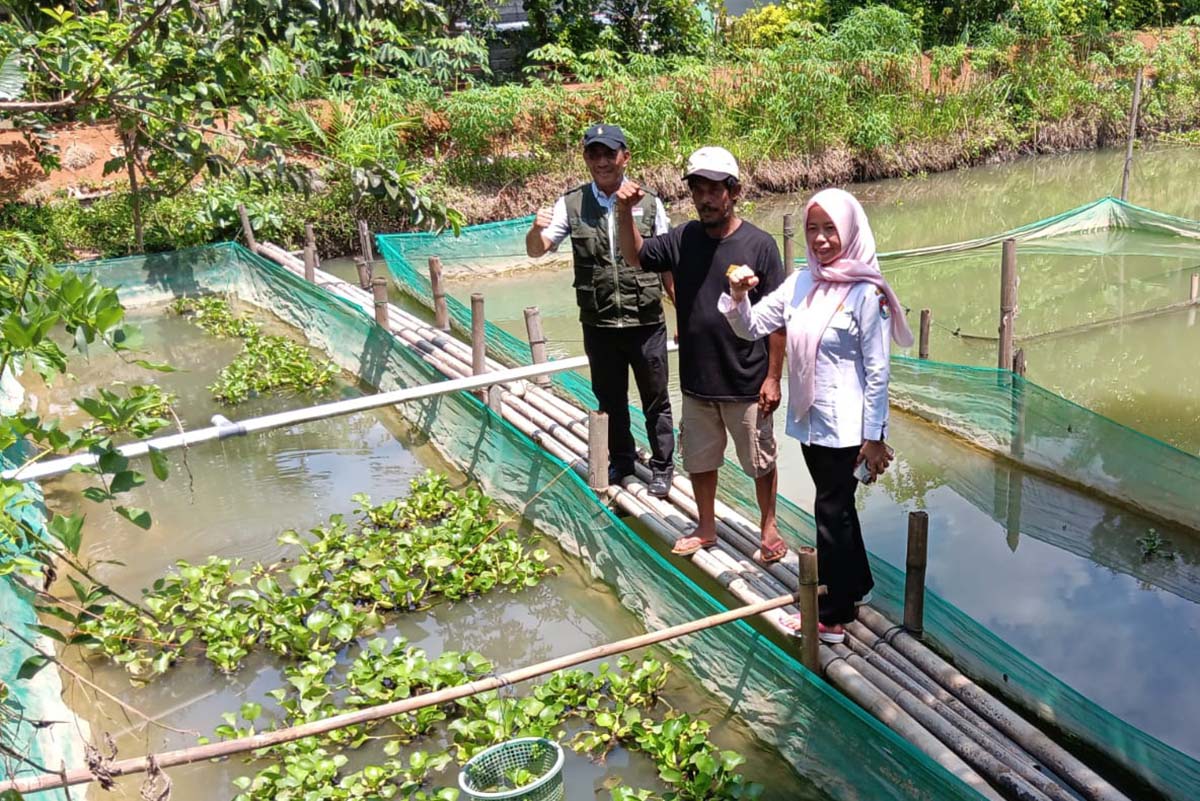 Pemerintah Bantu Sukseskan Usaha Kelompok Budidaya Ikan di Mukomuko 