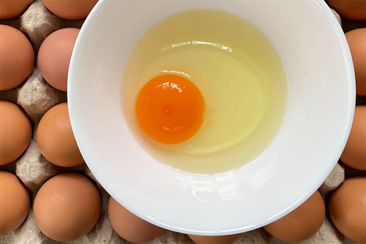 Catat, Ini Dia 3 Perbedaan Telur Biasa dengan Telur Omega yang Jarang Diketahui