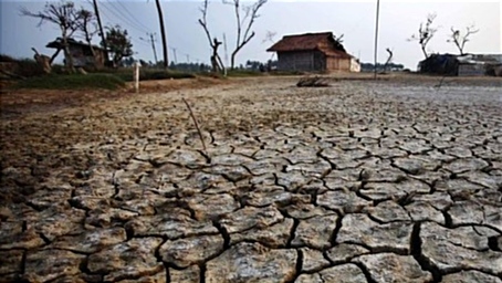 Hadapi Dampak El Nino, Ini Strategi yang Disiapkan Pemerintah