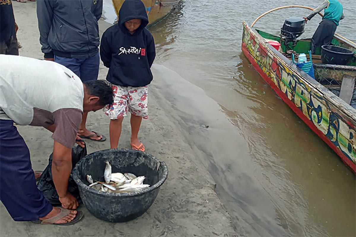 Kemarau Berdampak Positif dan Negatif Bagi Nelayan, Tangkapan Melimpah Tapi Ada Kendala Melaut