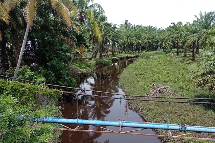 Ternyata Ini Penyebab Banjir di Desa Pondok Batu