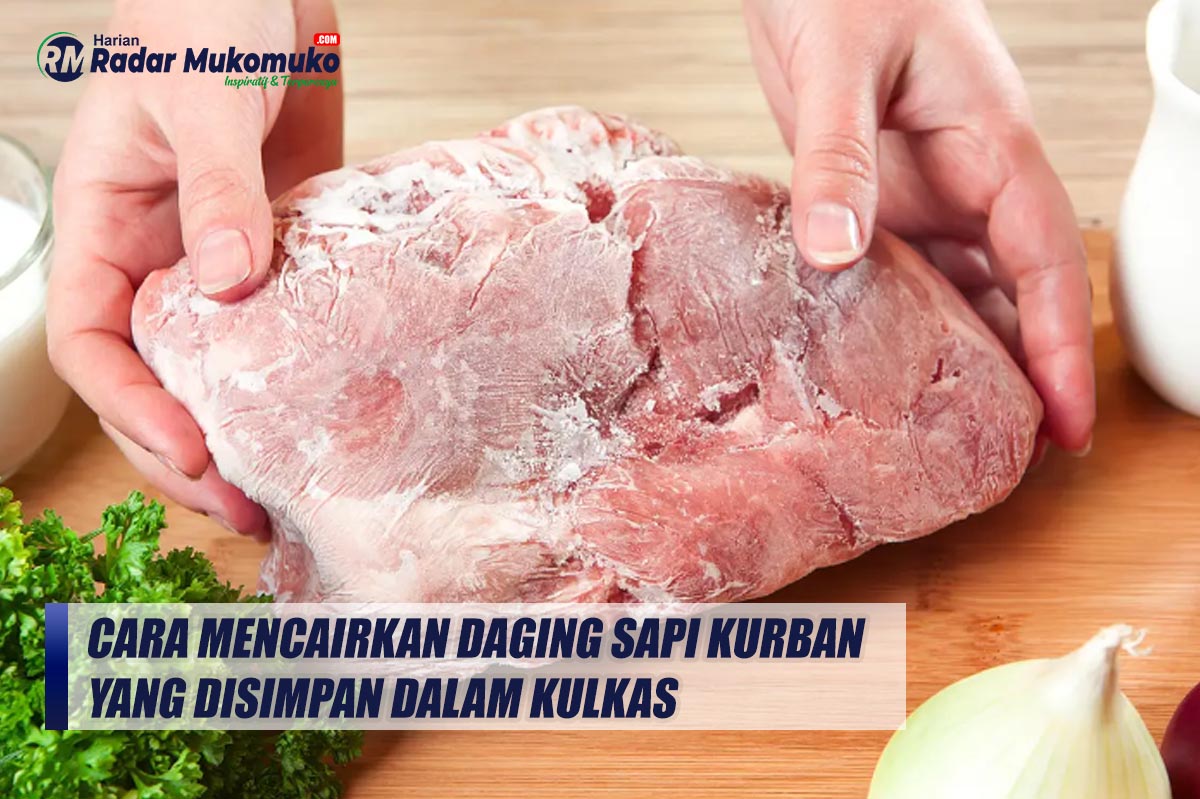 Sederhana dan Praktis, Begini Cara Mencairkan Daging Sapi Kurban yang Disimpan dalam Kulkas