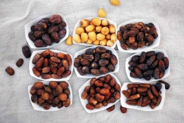 Jenis-Jenis Kurma Populer di Indonesia: Medjool, Sukari, Ajwa, Mana Favoritmu?