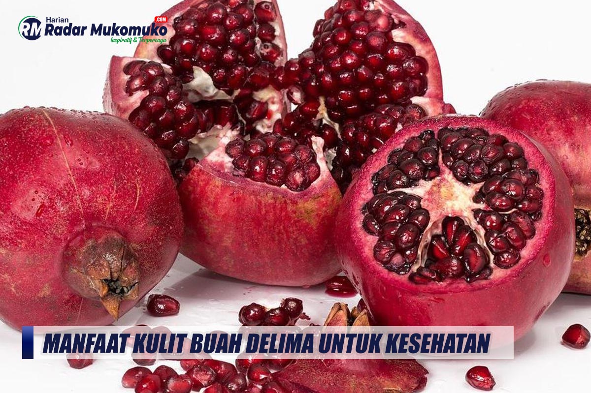 Jangan Dibuang, Inilah Manfaat Kulit Buah Delima Bagi Kesehatan yang Jarang Diketahui