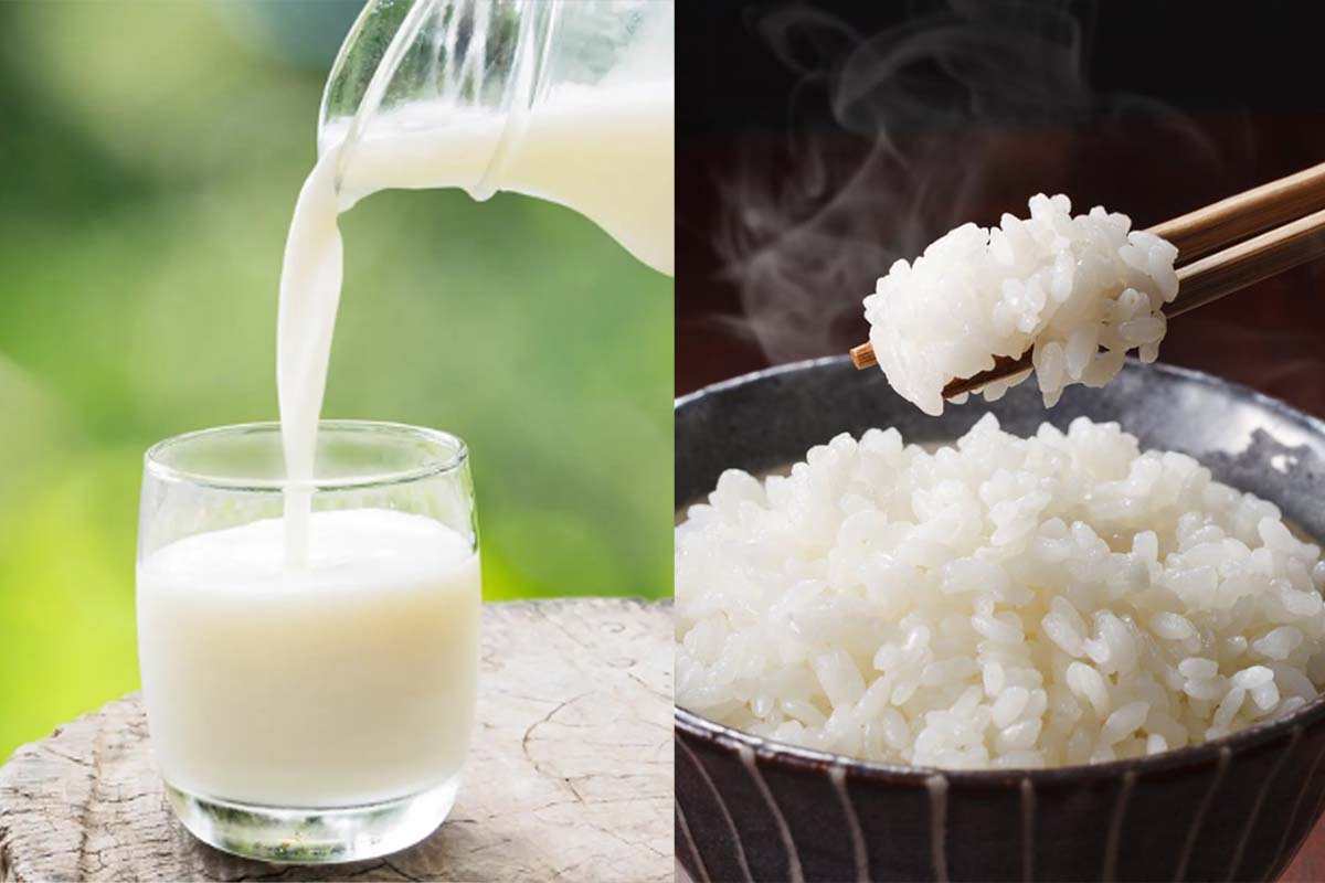 Susu Vs Nasi Pilihan Keduanya Bisa Mengenyangkan, Benarkah Minum Susu Kenyangnya Lebih Lama? 