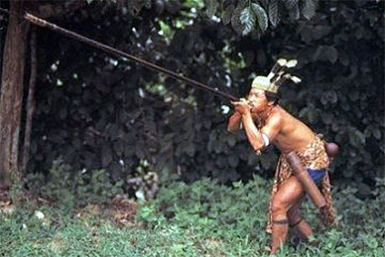 Senjata Canggih Belanda dan Jepang Babak Belur Kala Hadapi Sumpit Suku Dayak, Membunuh Dalam Senyap