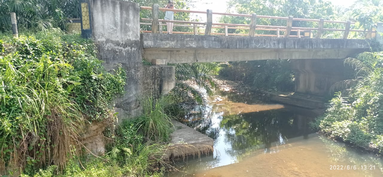 Jembatan Penghubung Desa Makmur Jaya Rusak 