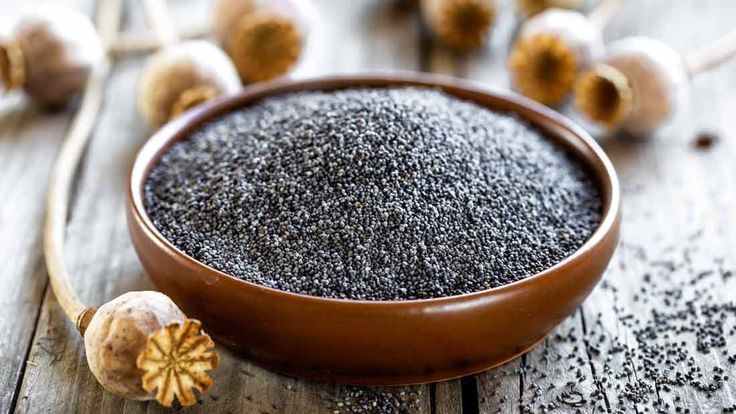 Manfaat Chia Seed untuk Pencernaan Lancar: Atasi Sembelit dengan Cara Alami!
