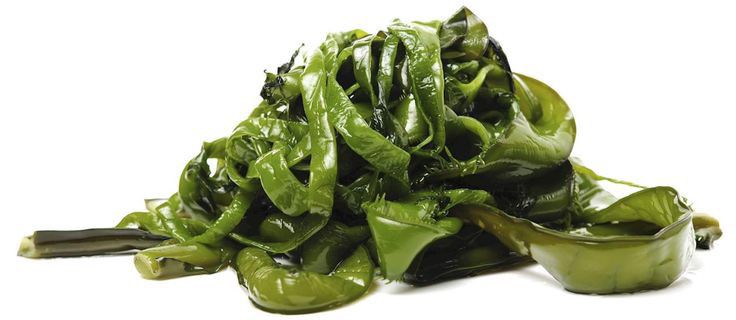 Mengenal Tiga Serangkai Samudra: Keajaiban Nutrisi di Balik Nori, Wakame, dan Kombu