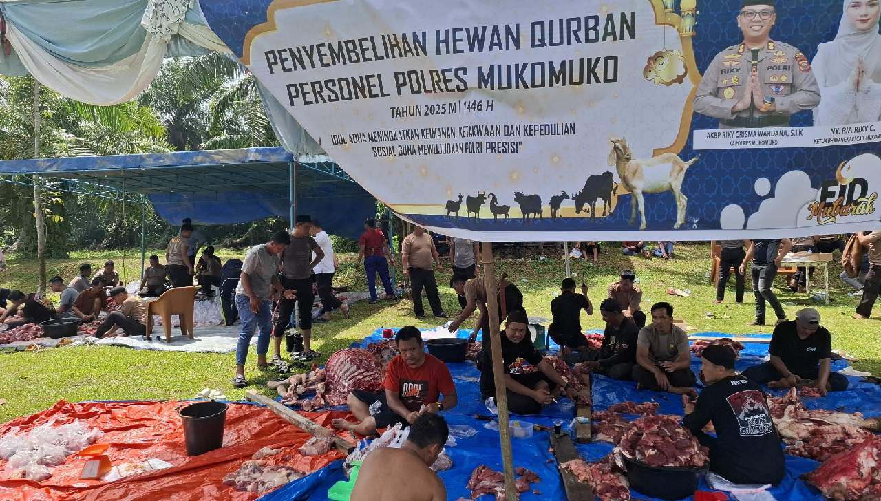 Hari Raya Idul Adha 1446 Hijriah, Polres Mukomuko Sembelih Tujuh Ekor Hewan Qurban