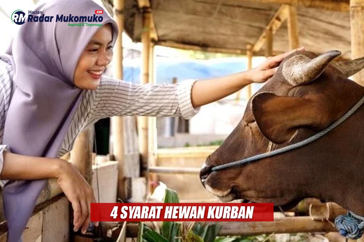 Jangan Salah Pilih! Inilah 4 Syarat Hewan Kurban yang Bisa Dikurbankan