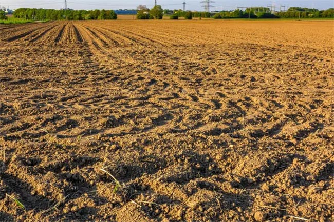 Jangan Biarkan Tanah Mati, Ini 7 Kesalahan Fatal yang Harus Dihindari untuk Menjaga Kesuburan Tanah