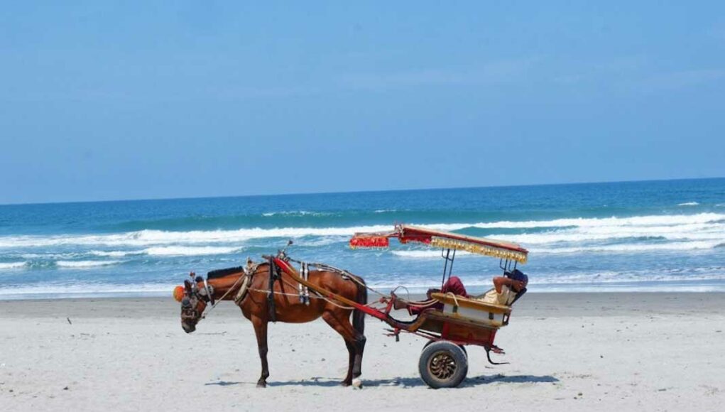 Waw, Pantai Panjang Akan Membludak Pengunjung, Bersamaan Libur Sekolah dan Nataru Ketimbang Wisata Ke Gunung