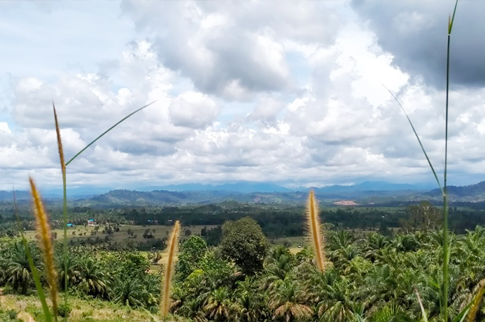 Wow! Di Talang Buai Ada Wisata, Sangat Menawan Cocok Untuk Instagramable 