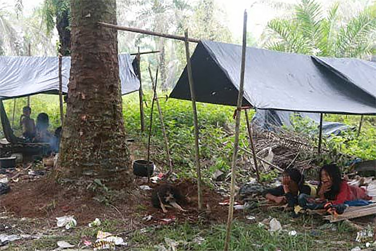 7 Suku Asli Dengan Jumlah Penduduk Terus Bekurang, Ada Yang Dilabel Primitif dan Ini Penyebabnya