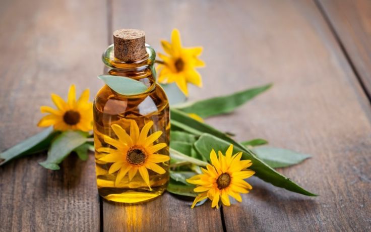 Manfaat Minyak Bunga Matahari untuk Kulit: Melembapkan, Mencerahkan, dan Melindungi!