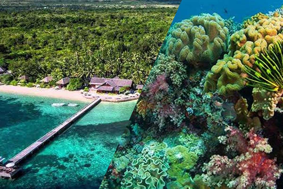 Bukan Hanya Bali, Wakatobi Rekomendasi Tujuan Wisata Terbaik, Bisa Enteng Dapat Jodoh