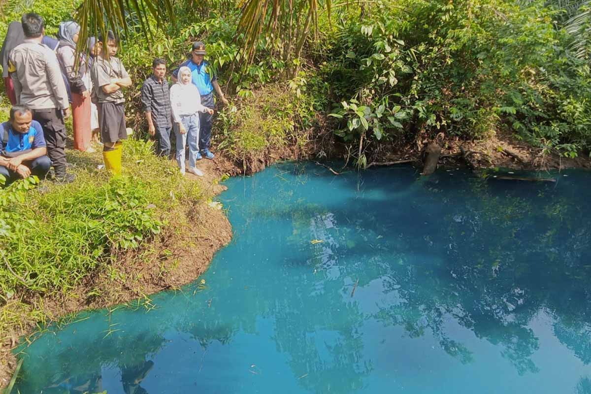 Viral Air Danau Berwarna Biru di Kebun Sawit Milik Kades di Bengkulu, Mengalir Dari Kolam Keramat