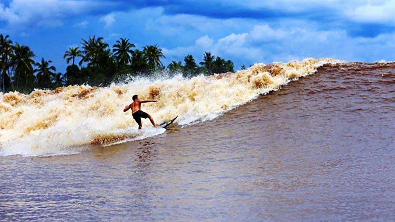 Cobain Pengalaman Berbeda di Sungai Kampar! Keseruan Bermain Surfing di Sungai 