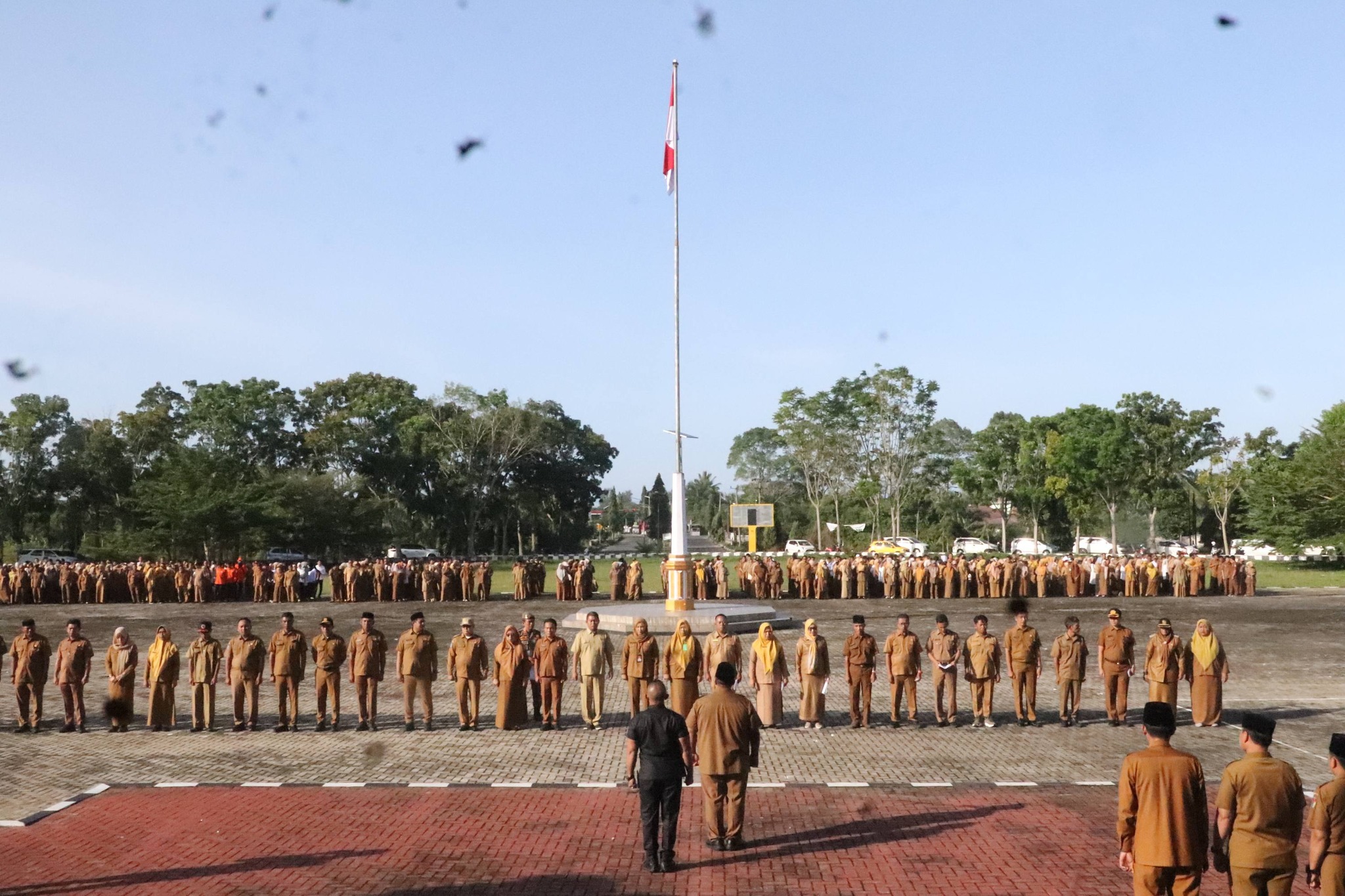 Gaji PNS Terbaru 2026 Cukup Tinggi, Belum Termasuk TPP atau Tukin