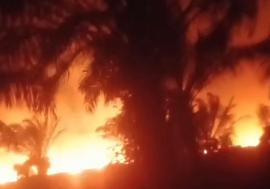 Api Belum Padam, Pemkab Bantu Atasi Kebakaran Lahan di Mukomuko