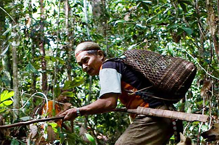 Lari ke Hutan Hindari Pajak dan Kerja Paksa, Begini Nasib Suku Limakawatina Hingga Sekarang