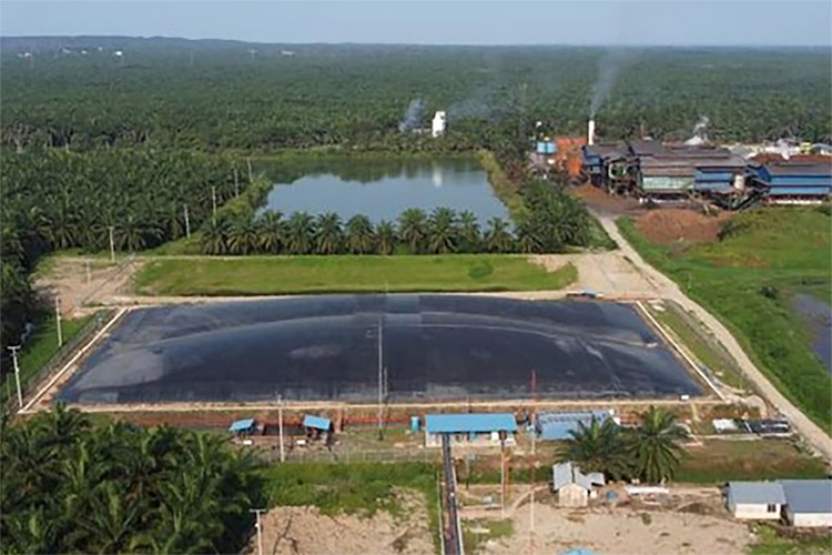 Waw! Riau Miliki Pembangkit Listrik Biogas Limbah Sawit, Pertama di Indonesia 