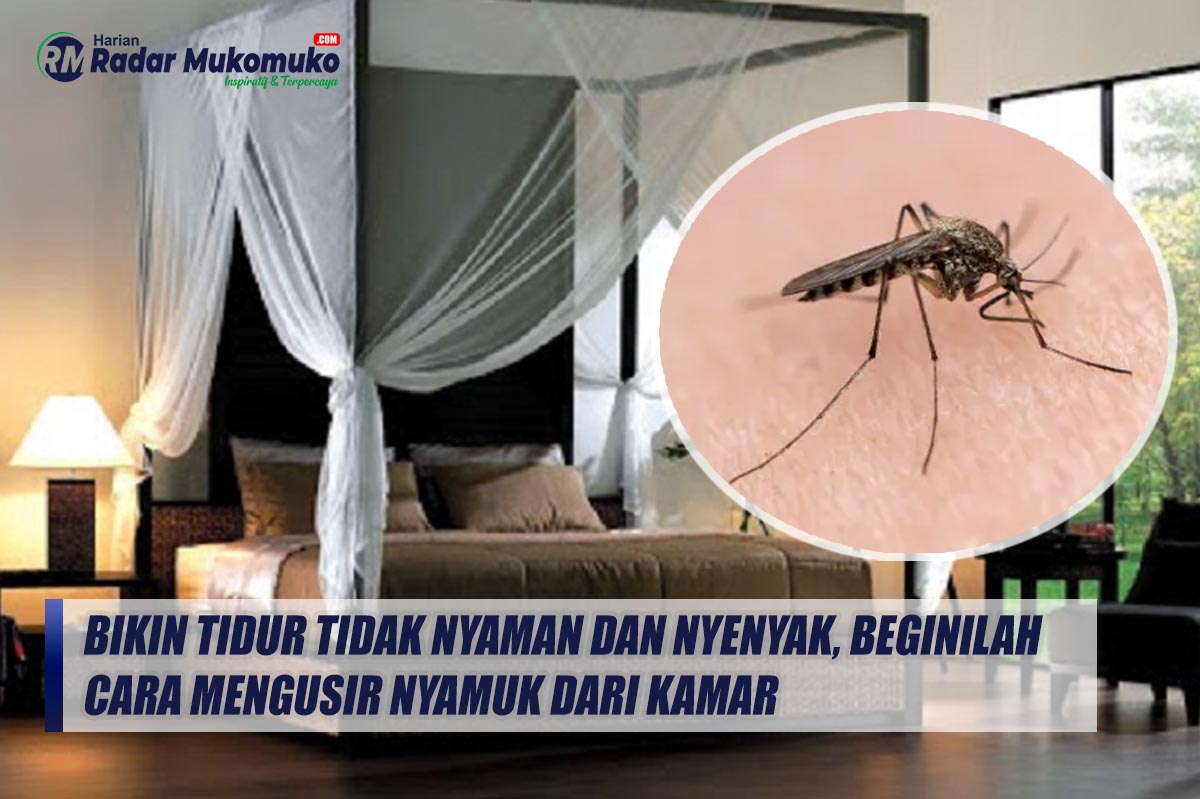 Bikin Tidur Tidak Nyaman dan Nyenyak, Beginilah Cara Mengusir Nyamuk dari Kamar