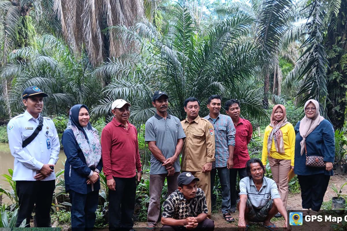 Budidaya Ikan Mulai Digemari Masyarakat Mukomuko, Produksi Meningkat, Dukung Asupan Gizi dan Ketahanan Pangan 