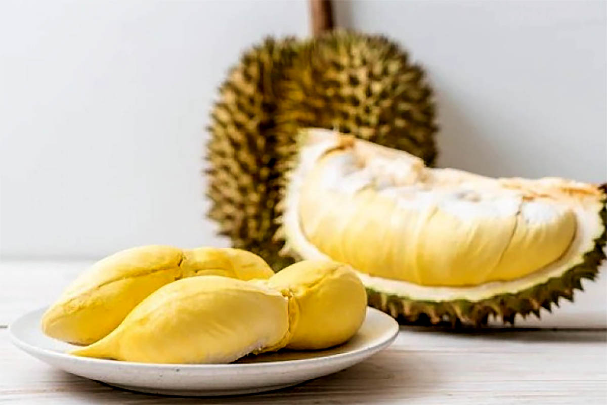Anda Suka Tidak Makan Durian, Ternyata Bisa Melawan Radikal Bebas dan Bikin Awet Begini