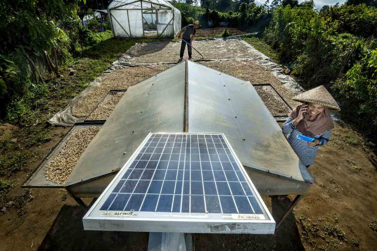 Wujudkan Komitmen Sebagai World-Class Sustainable Banking Group, BRI Perkuat Kontribusi