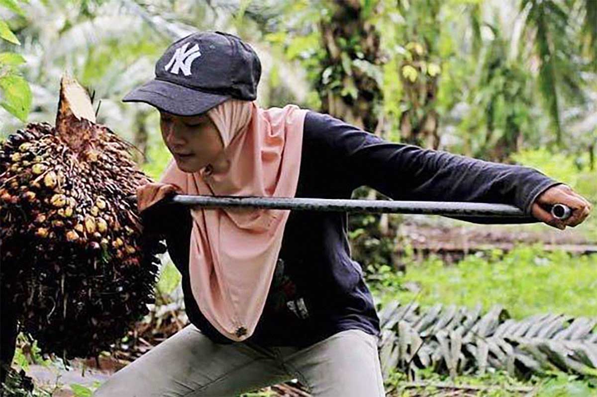 Pekerja Buruh Perempuan di Perkebunan Sawit Rentan Perlakuan Pelecehan  